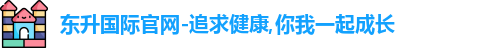 东升国际